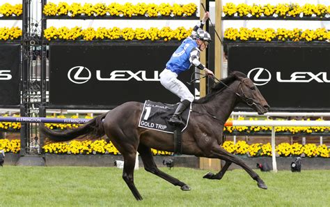 The last 11 Melbourne Cup winners and what the .